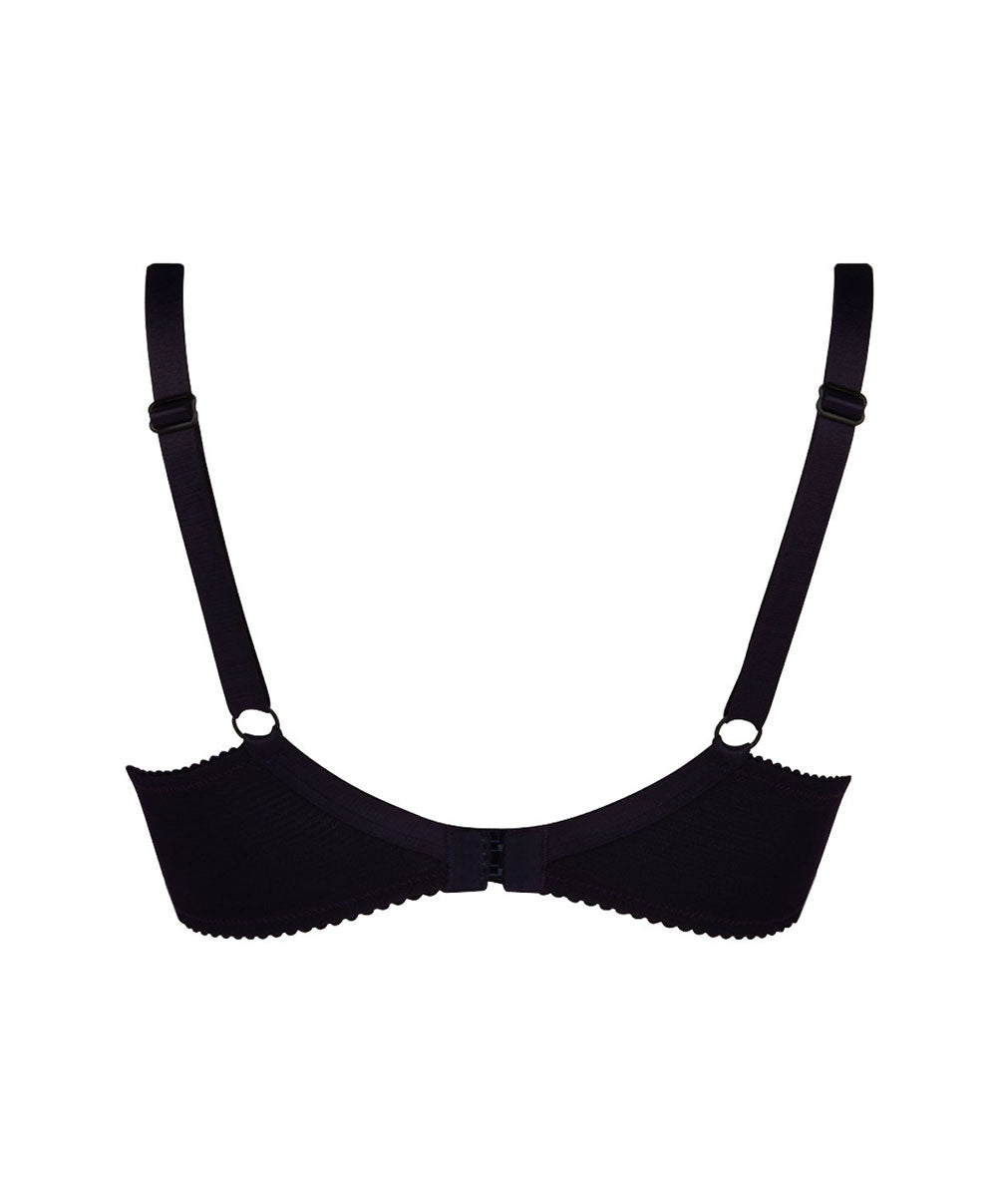 Soutien-gorge grande taille armature couvrant Lise Charmel Dentelle Cashmer emaux cashmer (=prune) BCH6151-EC