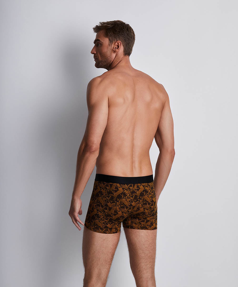 Boxer Aubade Guepard Underwear Aubade Men XB78T/GUEP