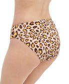 Bas de maillot de bain mi couvrant Fantasie swim Kabini oasis Leopard FS502172-LED
