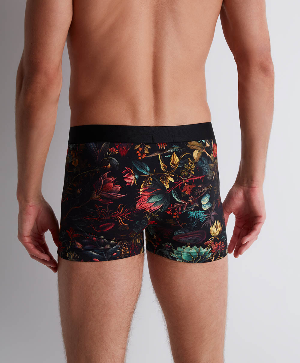 Boxer Aubade Herbarium Underwear Aubade Men XB78T/HERB