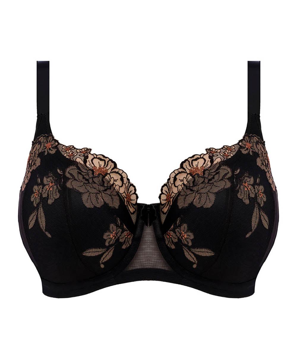 Soutien-gorge grande taille armature paddé corbeille Elomi Teagan Almond EL302615-ALM